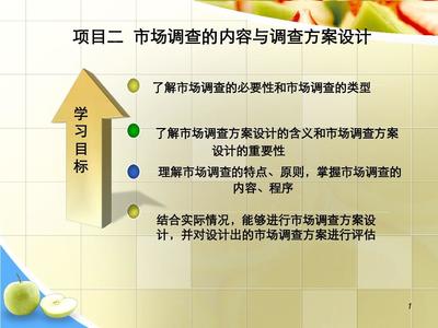 市场调查与预测 项目二的实践指南
