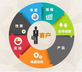 高效市场调研与销售文案撰写的全流程指南